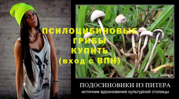 твердый Янаул