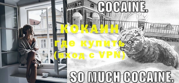 твердый Янаул