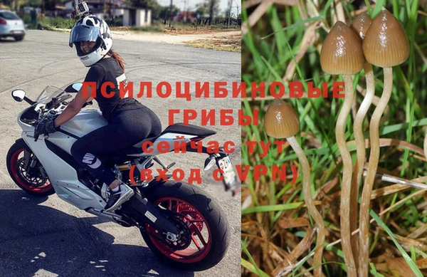 винт Абдулино