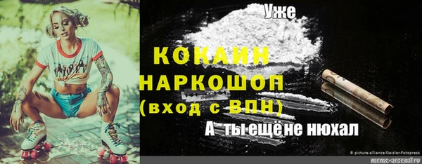 твердый Янаул
