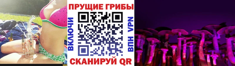 купить  цена  Арск  Галлюциногенные грибы прущие грибы 